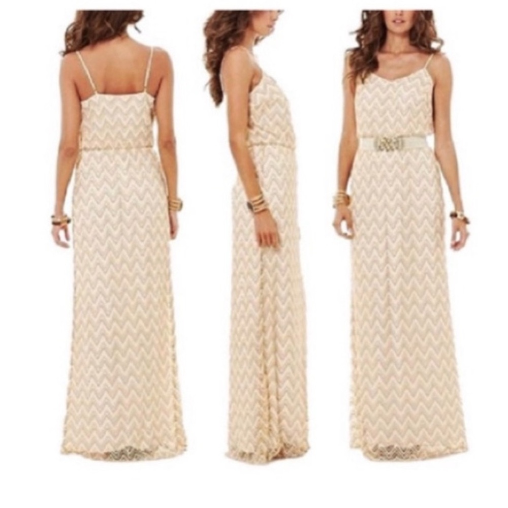 NWOT Deanna Gold White Metallic Chevron Crochet Maxi Dress